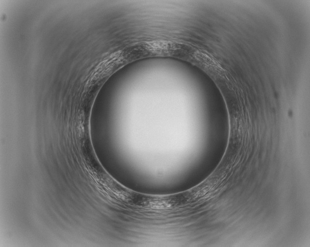 X0000059240702200510171431