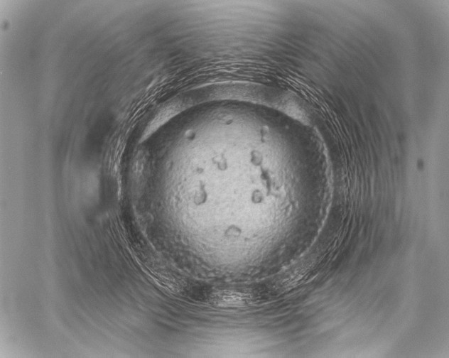 X0000059240703200510171431