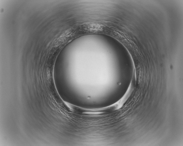 X0000059240704200510171431