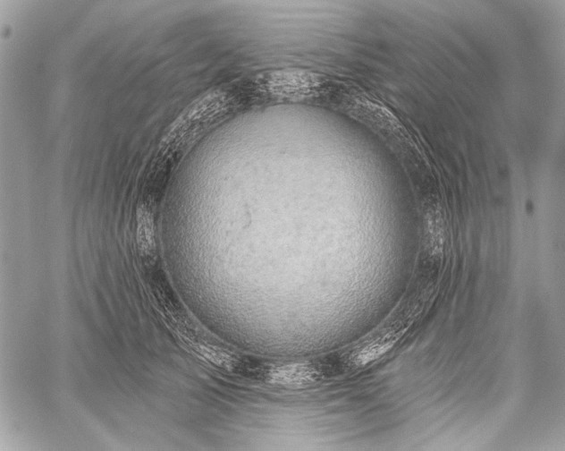 X0000059240705200510171431