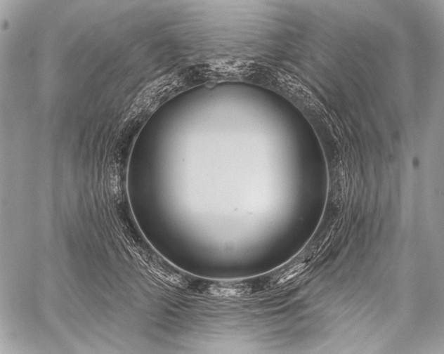 X0000059240706200510171431