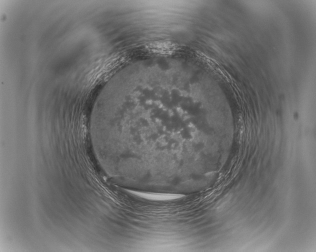 X0000059240707200510171431