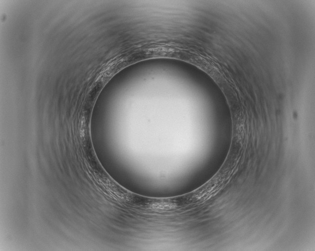 X0000059240708200510171431