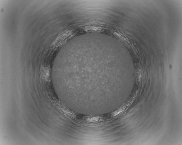 X0000059240709200510171431