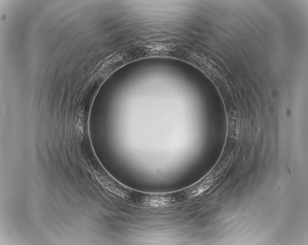 X0000059240710200510171431