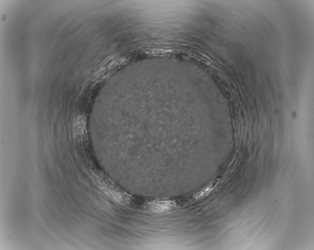 X0000059240711200510171431