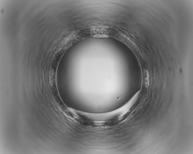 X0000059240712200510171431