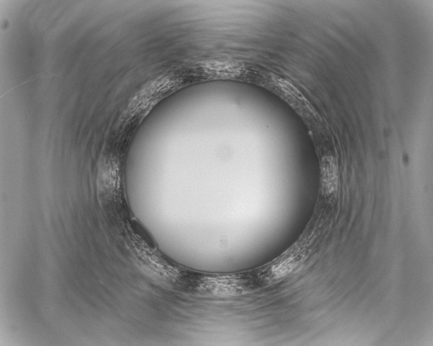 X0000059240713200510171431