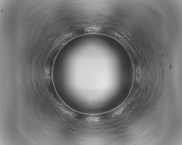 X0000059240714200510171431