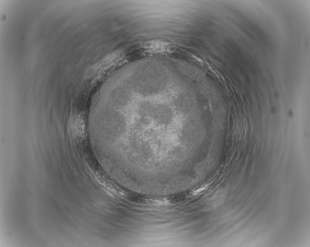 X0000059240715200510171431