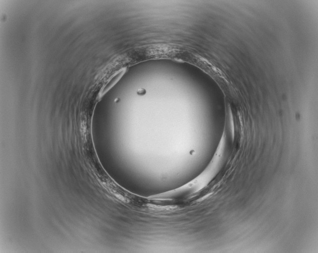 X0000059240716200510171431