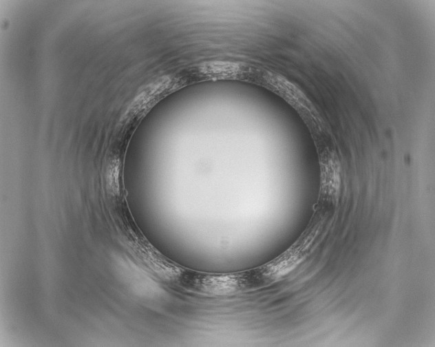 X0000059240717200510171431