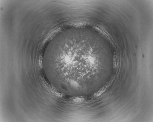 X0000059240718200510171431