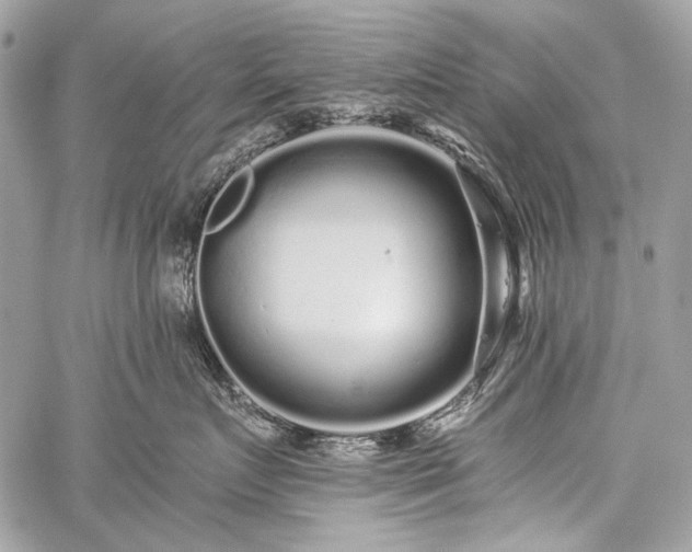 X0000059240719200510171431