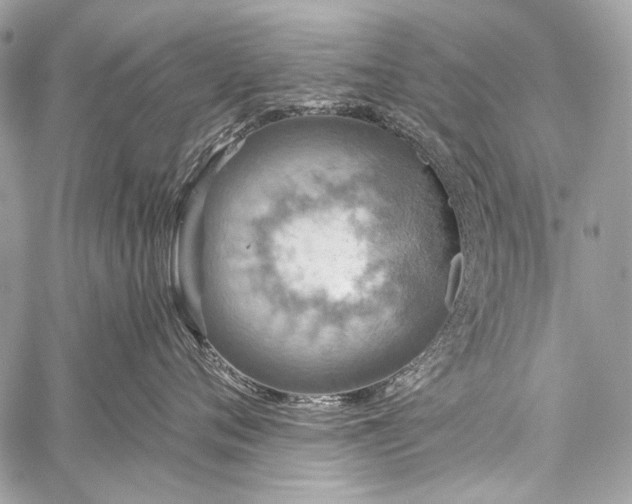 X0000059240720200510171431