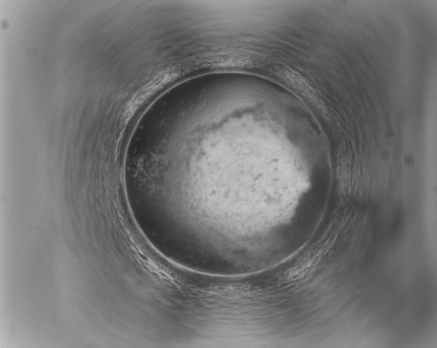 X0000059240721200510171430