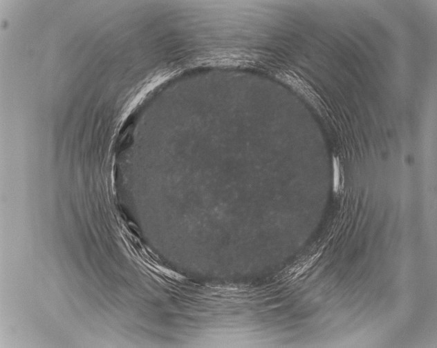 X0000059240723200510171430