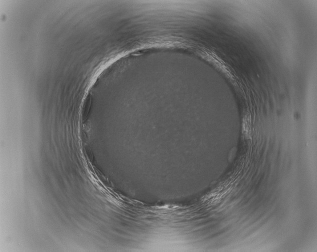 X0000059240724200510171430