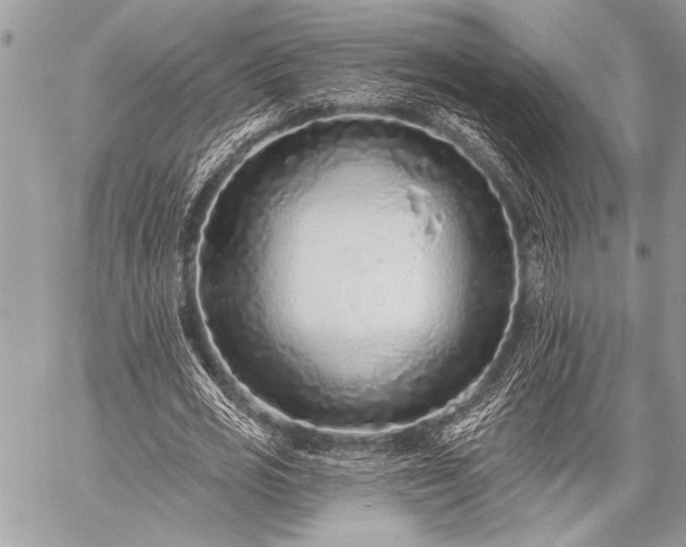 X0000059240725200510171430