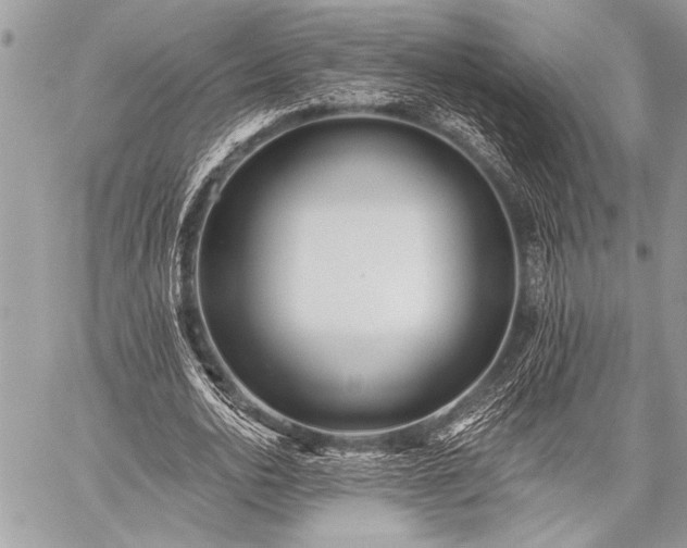 X0000059240726200510171430