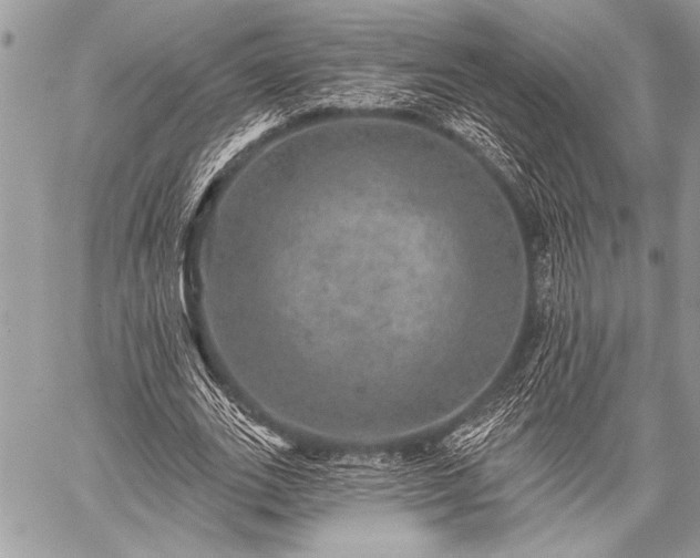 X0000059240727200510171430