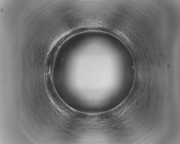 X0000059240728200510171430