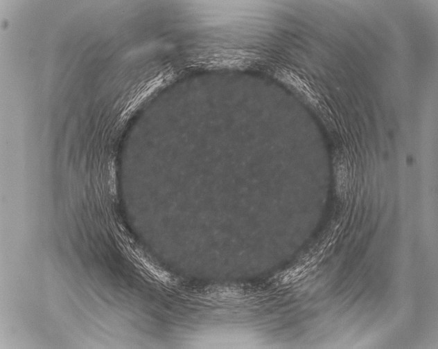 X0000059240729200510171430