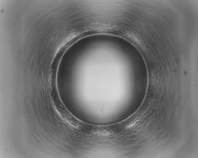 X0000059240730200510171430