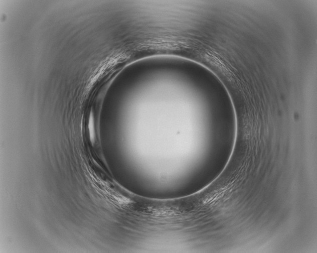 X0000059240731200510171430