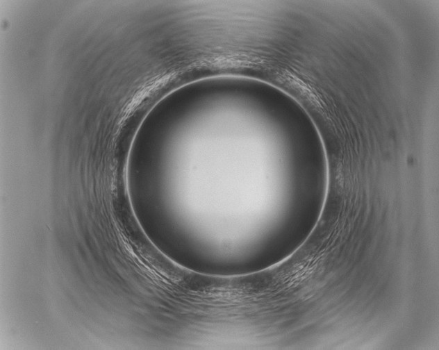 X0000059240732200510171430