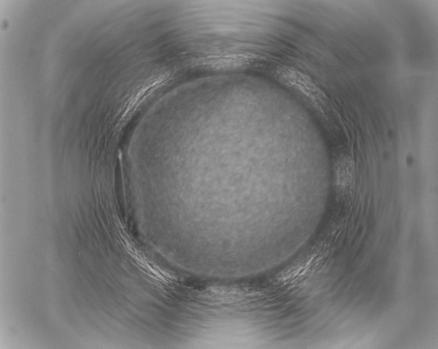 X0000059240733200510171430