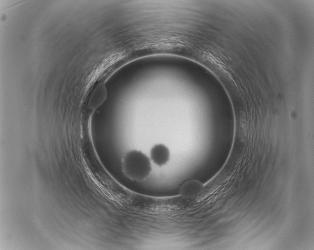 X0000059240734200510171430