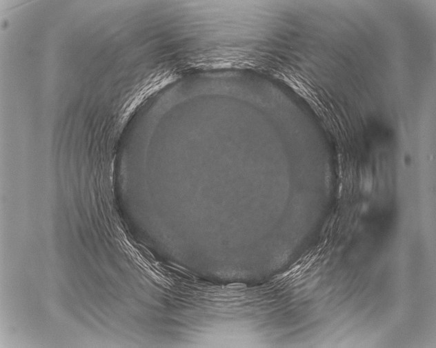 X0000059240735200510171430