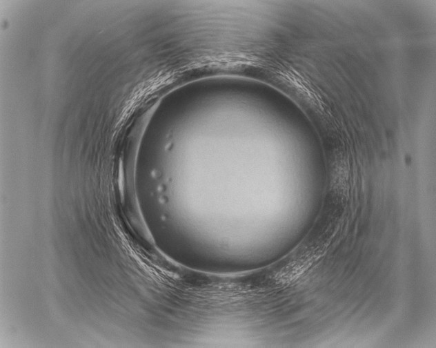 X0000059240736200510171430