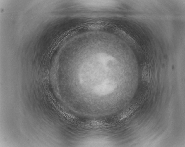 X0000059240737200510171430