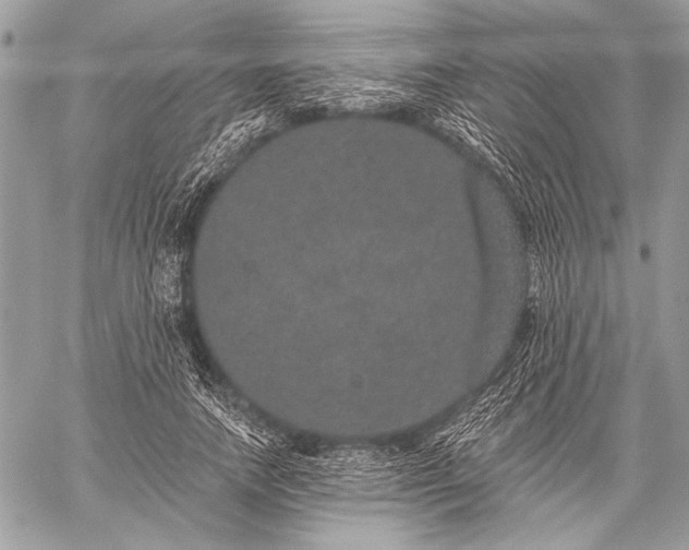 X0000059240738200510171430