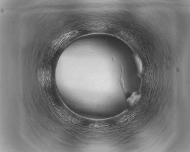 X0000059240739200510171431