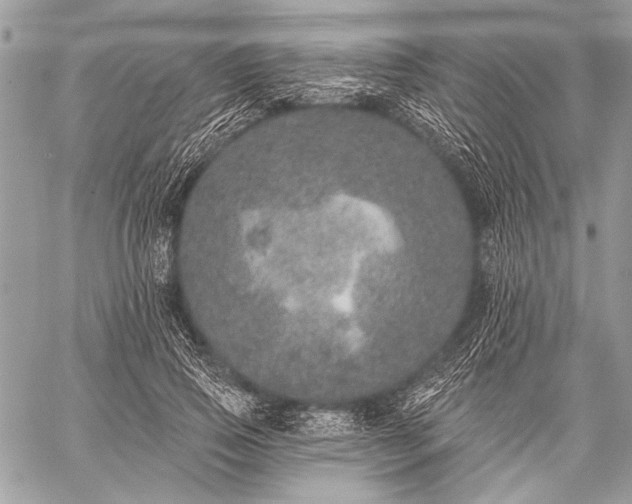 X0000059240741200510171431