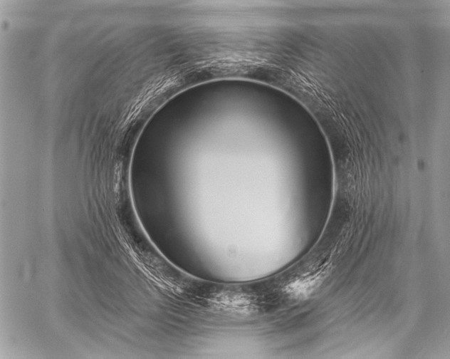 X0000059240742200510171431