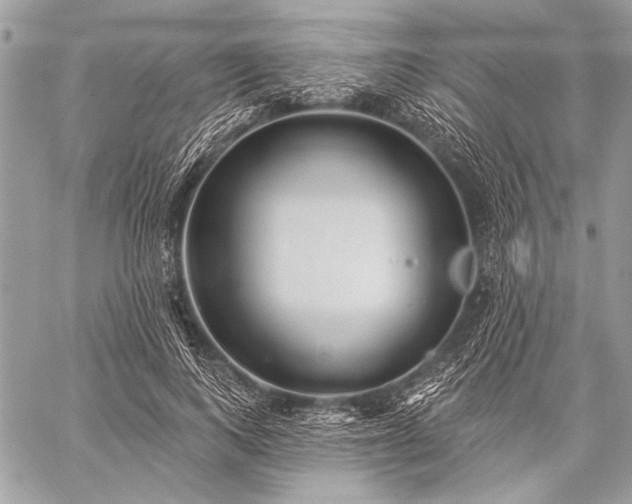 X0000059240743200510171431