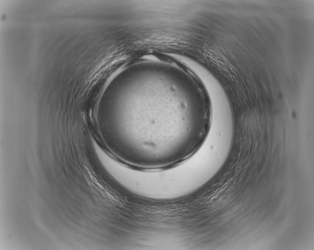 X0000059240744200510171431