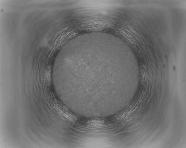 X0000059240745200510171431