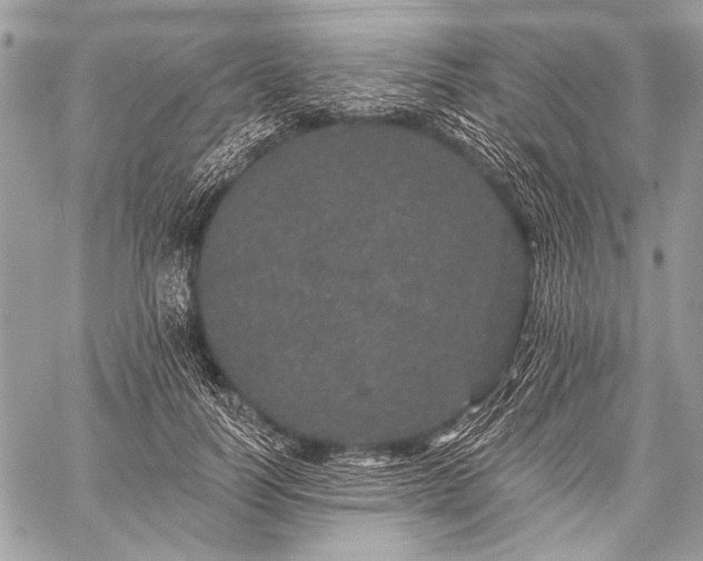 X0000059240746200510171431