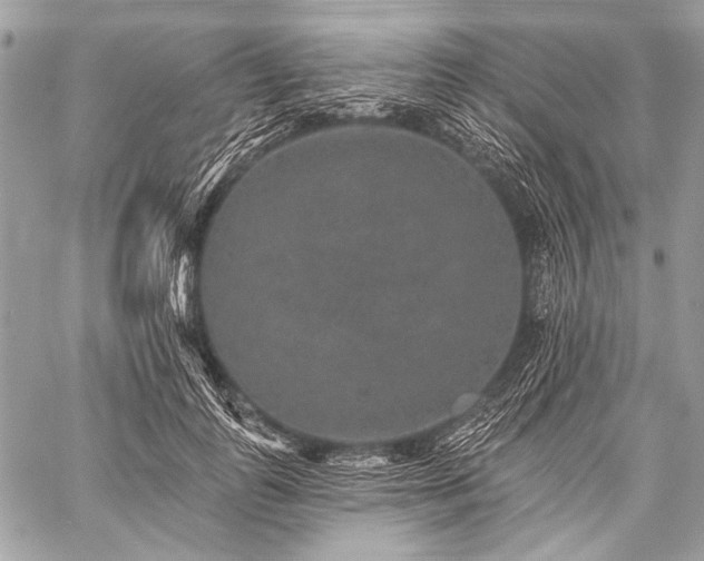 X0000059240747200510171431