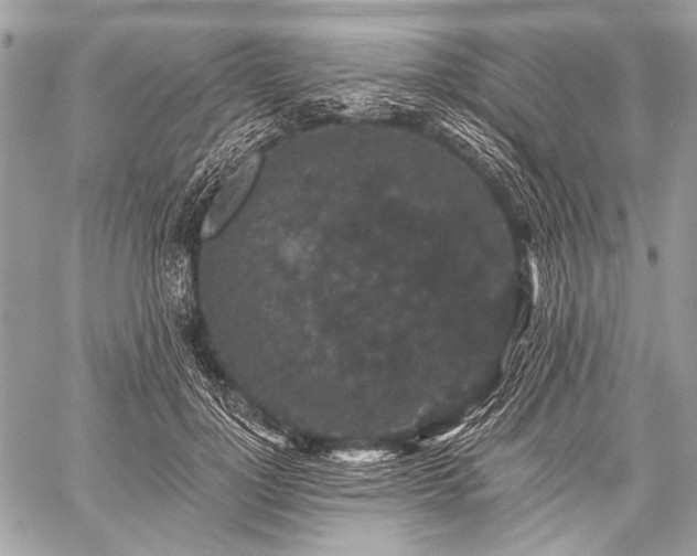 X0000059240748200510171431