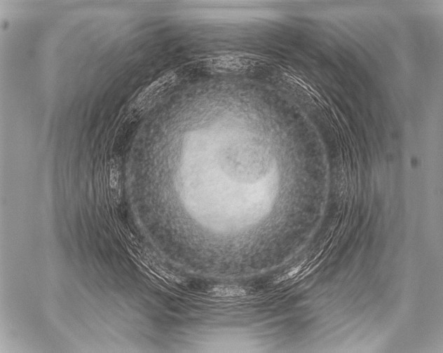 X0000059240749200510171431