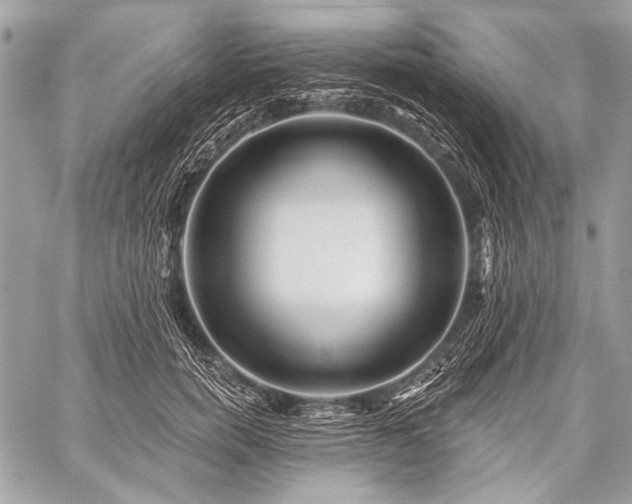 X0000059240750200510171431