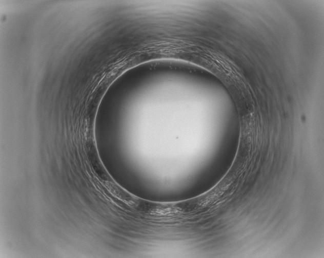 X0000059240752200510171431