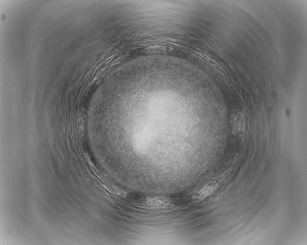 X0000059240753200510171431