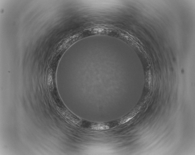 X0000059240754200510171431